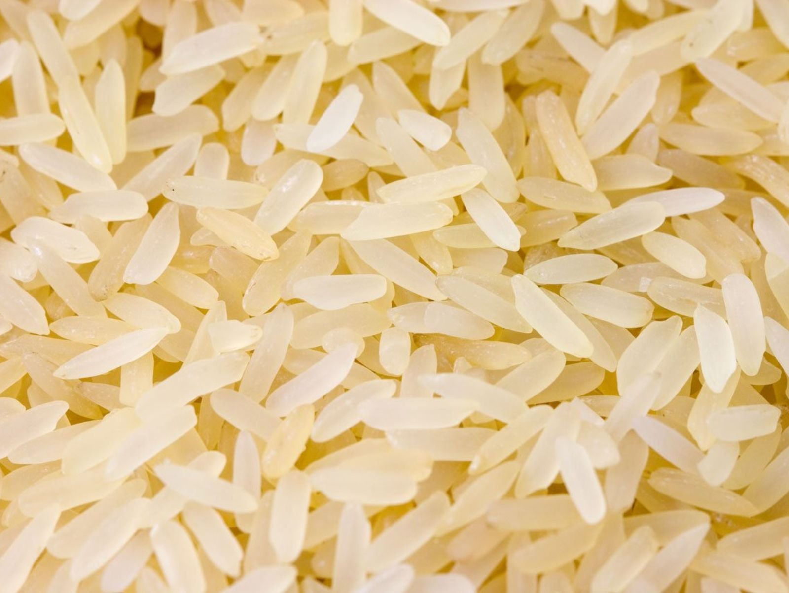 Premium Rice