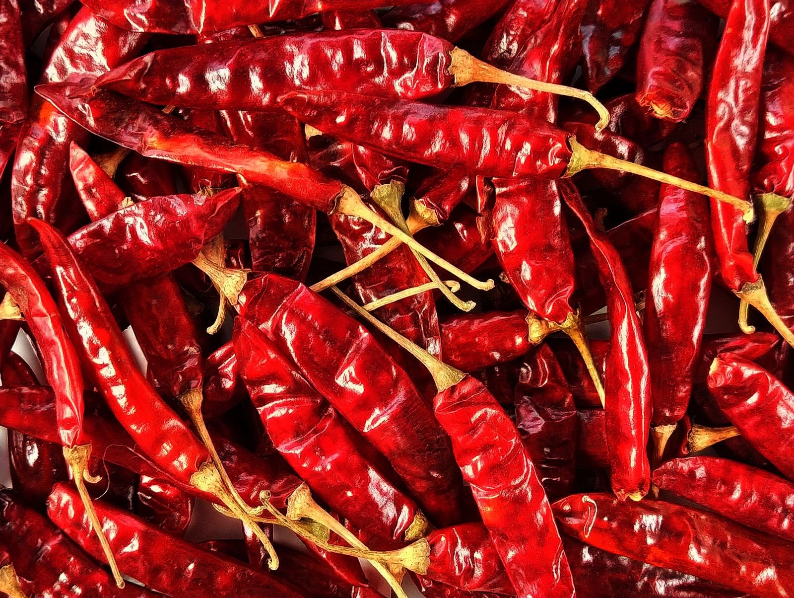 Premium Red Chilli